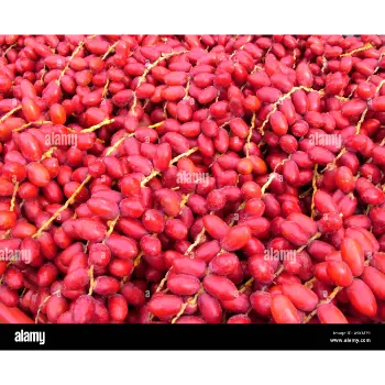 Fresh Dates 